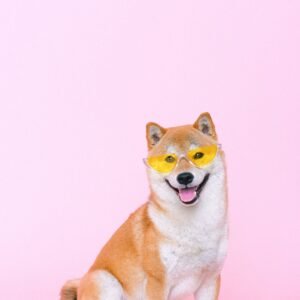 Mochi