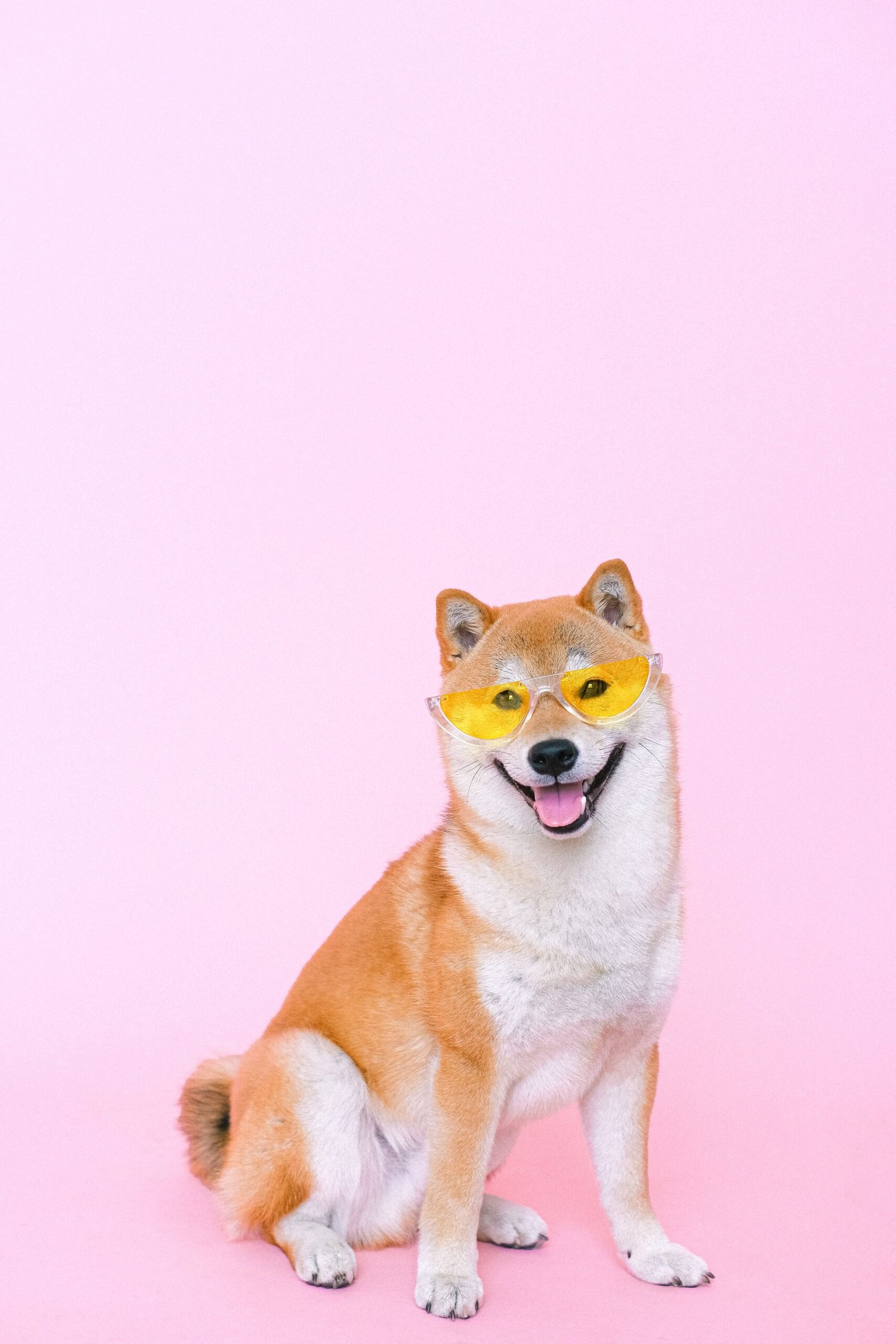 Mochi